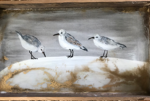 3 Sandpipers